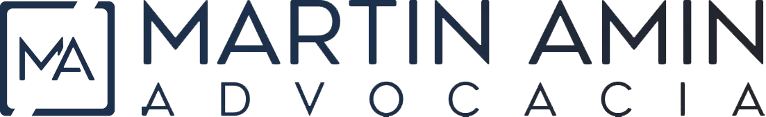Martin Amin